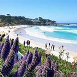 Carmel Beach