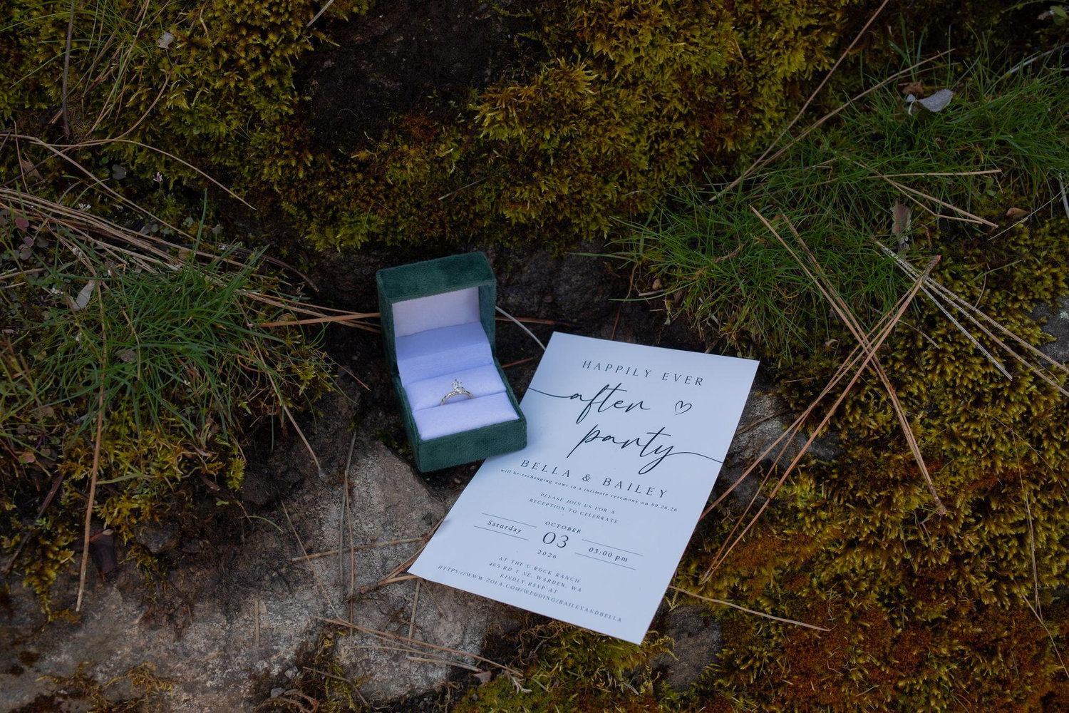 The Wedding Website of Bella Dalrymple and Bailey Sanchez