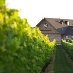 Newport Vineyards
