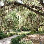 Coastal Discovery Museum