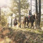 Horseback Riding, Clay Wobble Range, & More