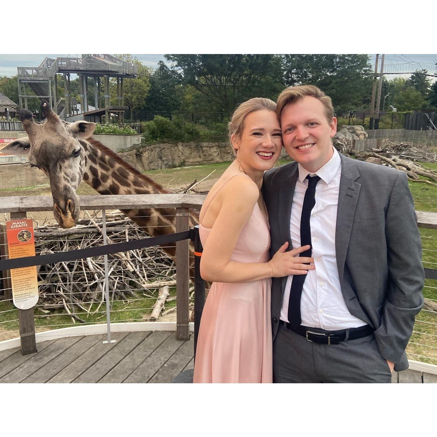 Our last wedding before our own! Although ours won't have giraffes like Taylor's amazing wedding had <3