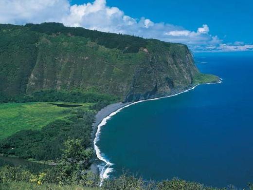 The Wedding Website of Steviann Hill and Daniel Sanchez