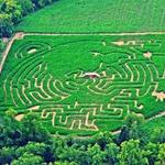 McPeek's Mighty Maze