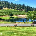 Saluti Cellars