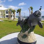 Manatee Lagoon