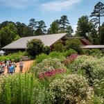 North Carolina Botanical Garden