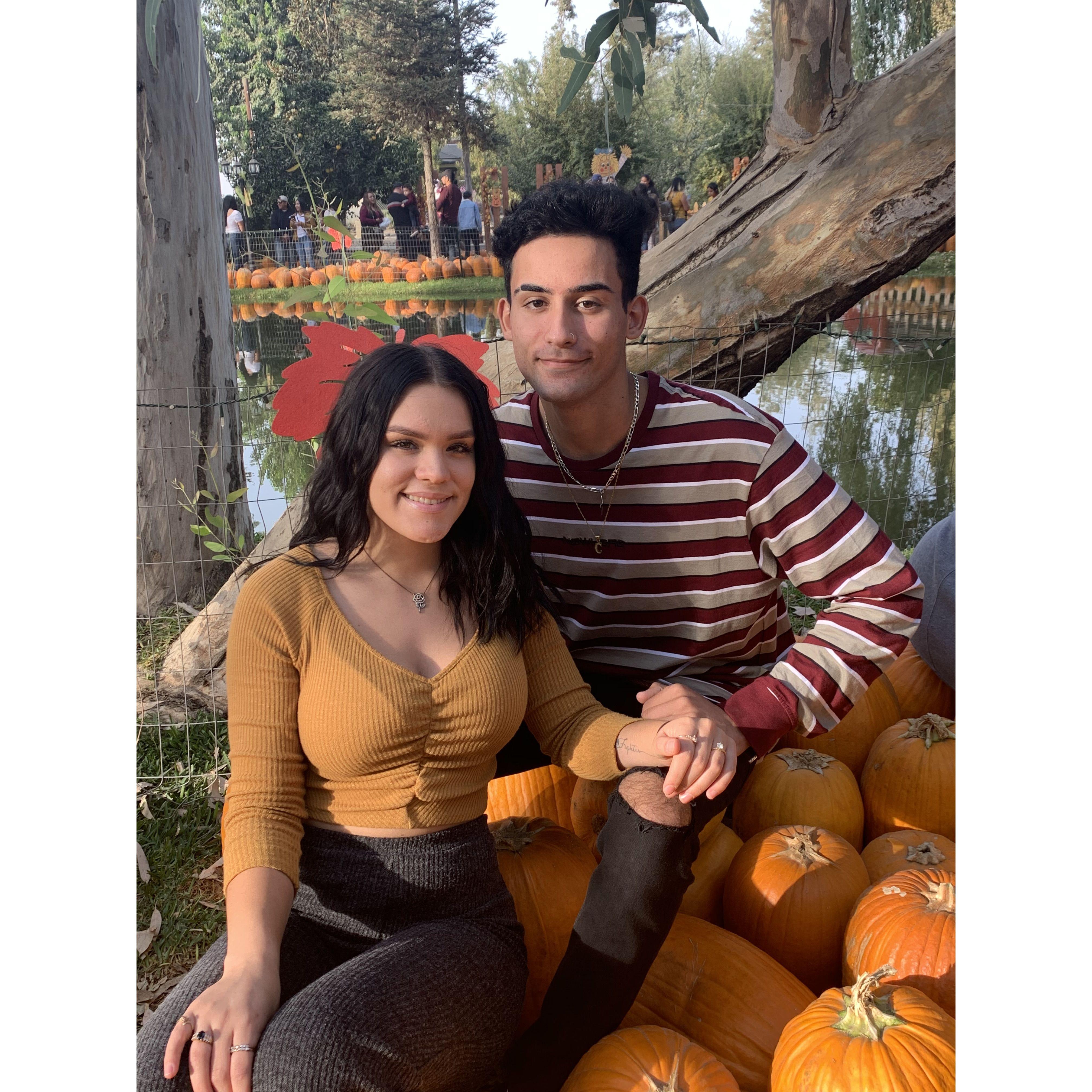Pumpkin patch 2019