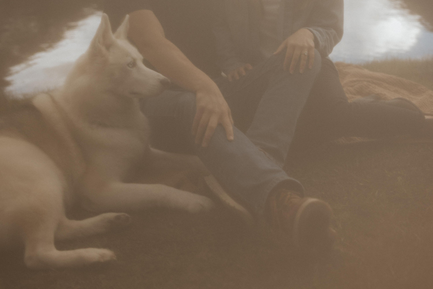 The Wedding Website of Cassi Courkamp and Michael Roise