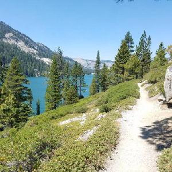 Tahoe Rim Trail Honeymoon Fund