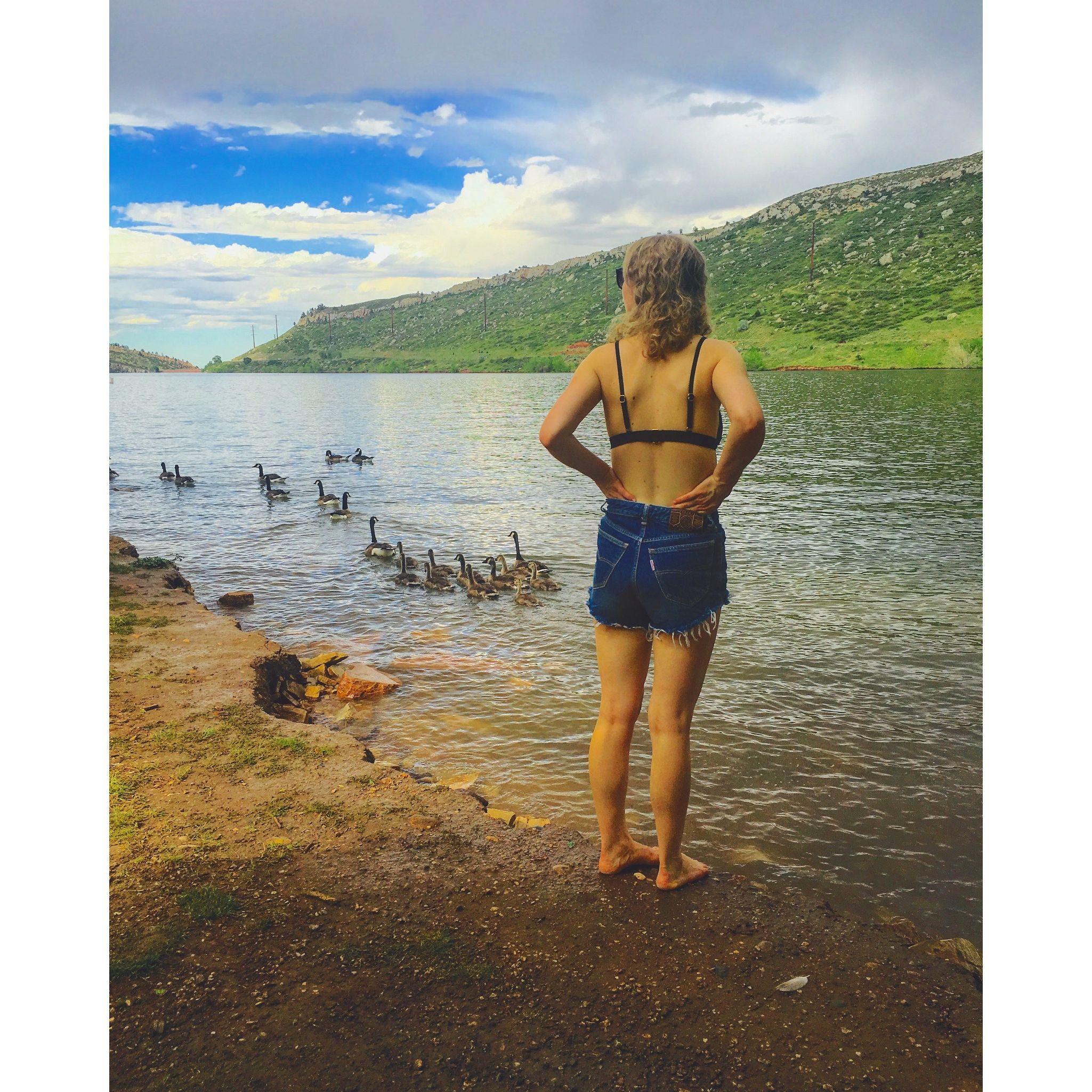 Swimming at Horsetooth Reservoir in Fort Collins, Colorado