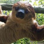 Bergen County Zoo