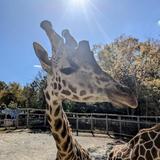 The Chattanooga Zoo at Warner Park
