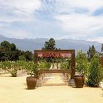 Topa Mountain Winery