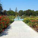 Municipal Rose Garden