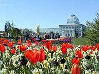 Lewis Ginter Botanical Garden