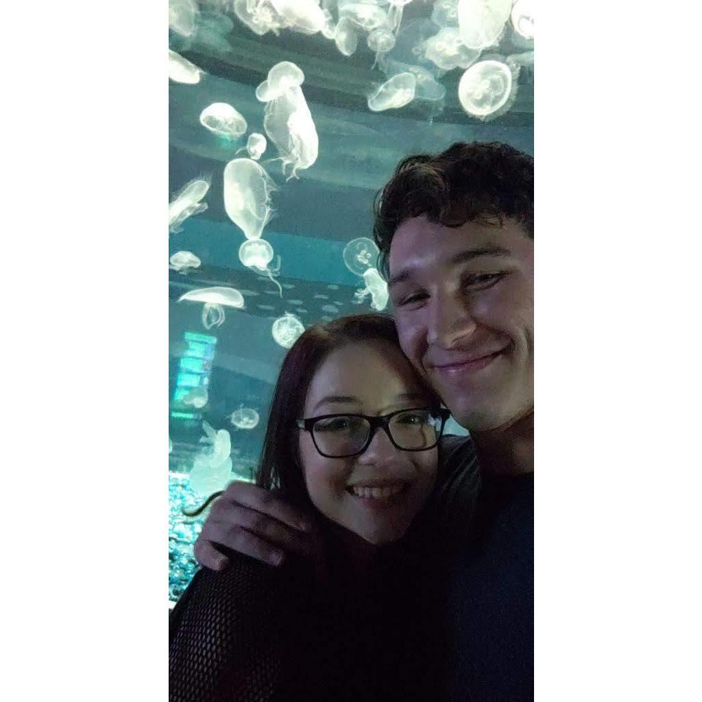 Our first aquarium date