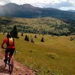 Estes Park Mountain Shop