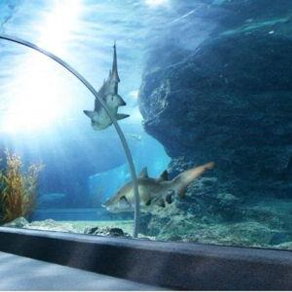 Aquarium