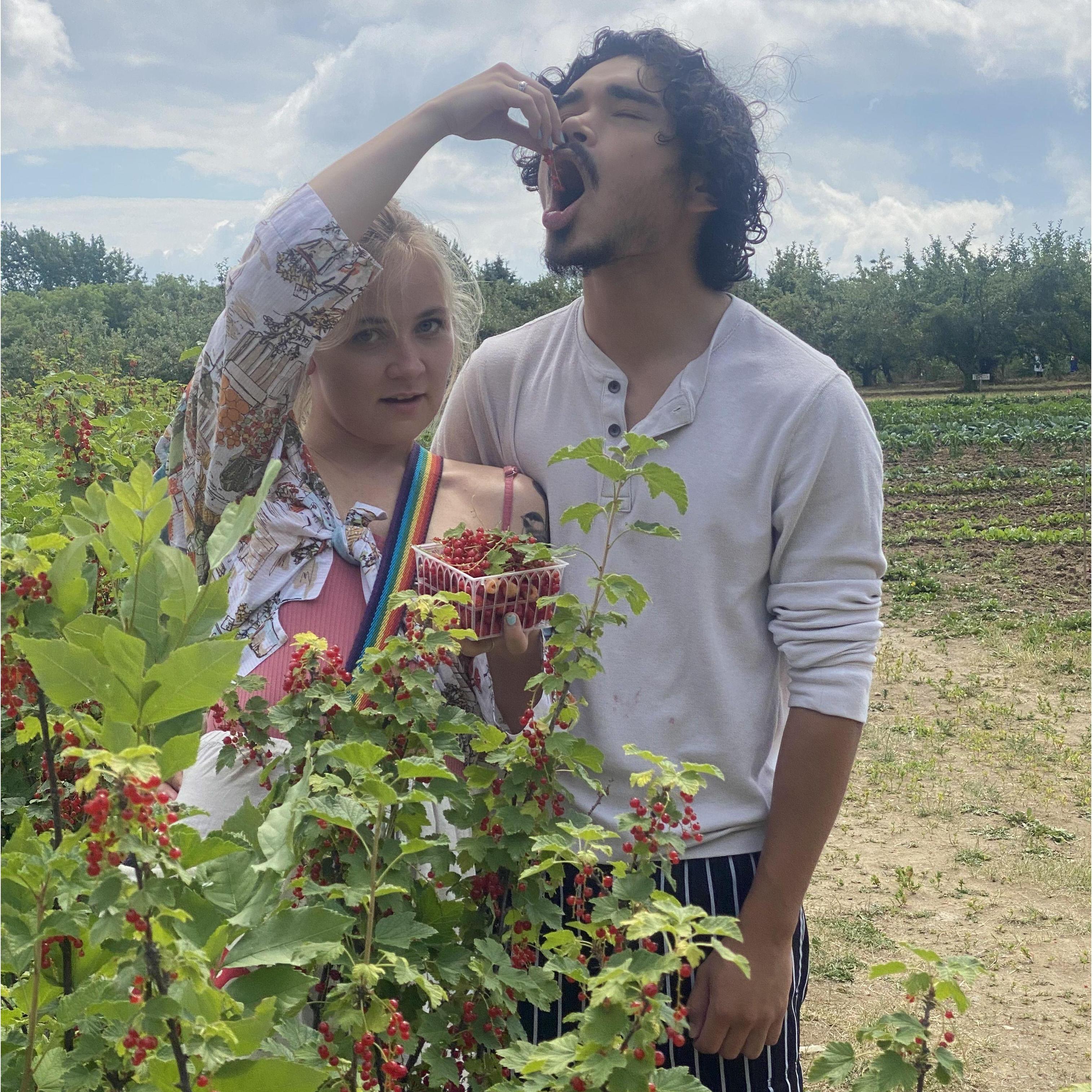 Berry Picking!