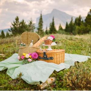 Picnic at Mt. Shasta