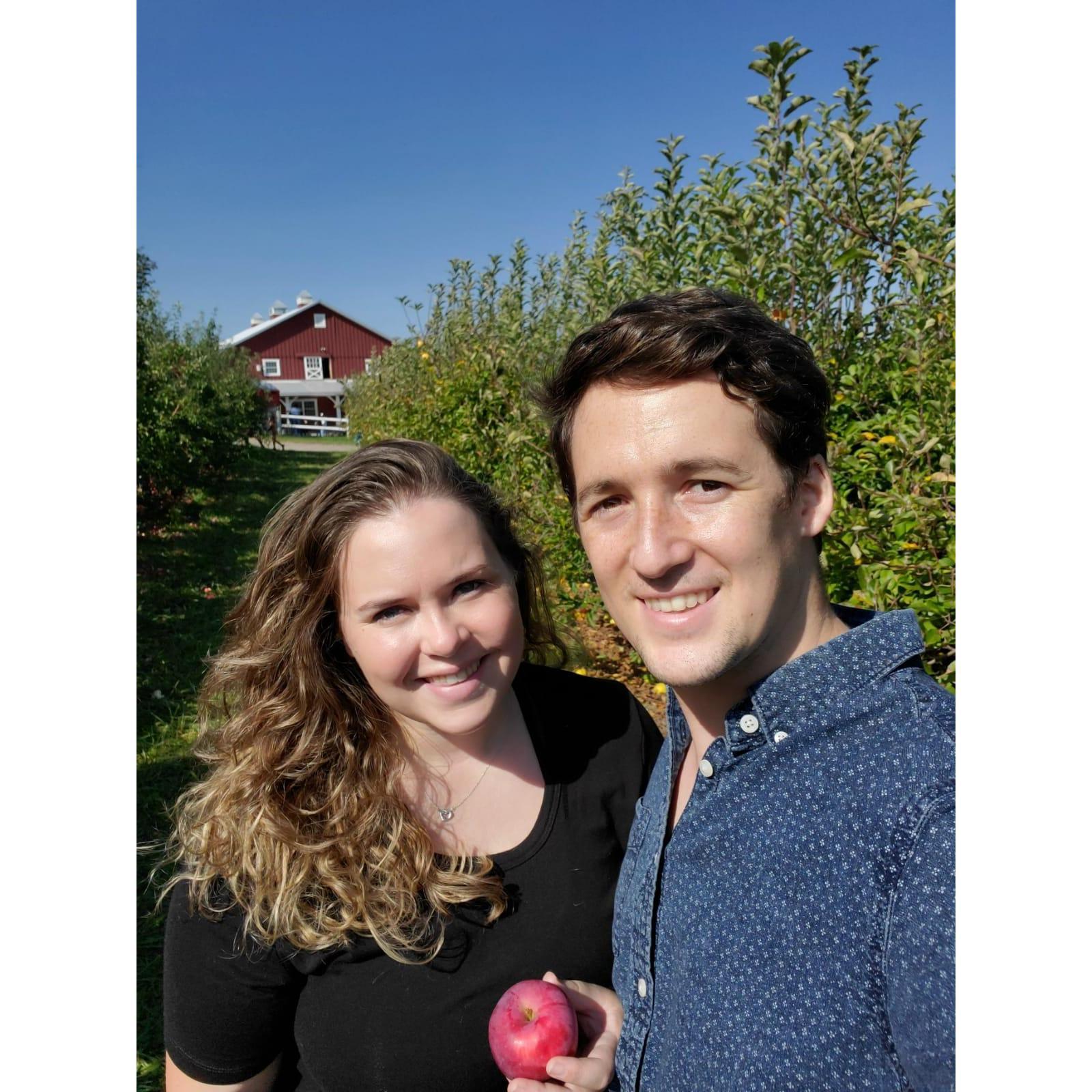 Our yearly apple picking in Upstate New York