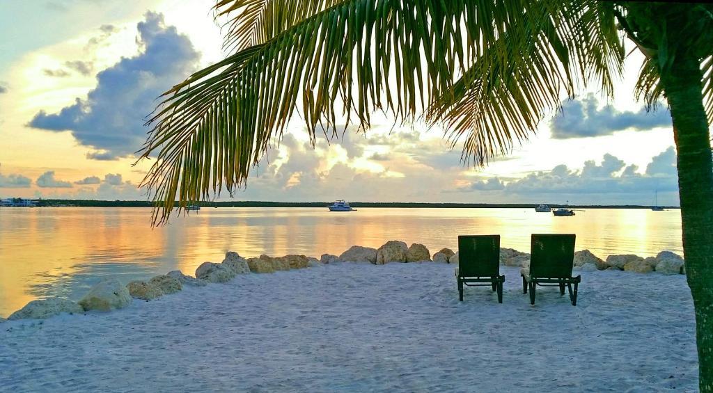 The Wedding Website of Alexandra Royer and Neil Petersen