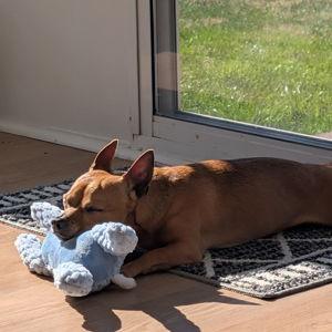 Jack Teddy Fund