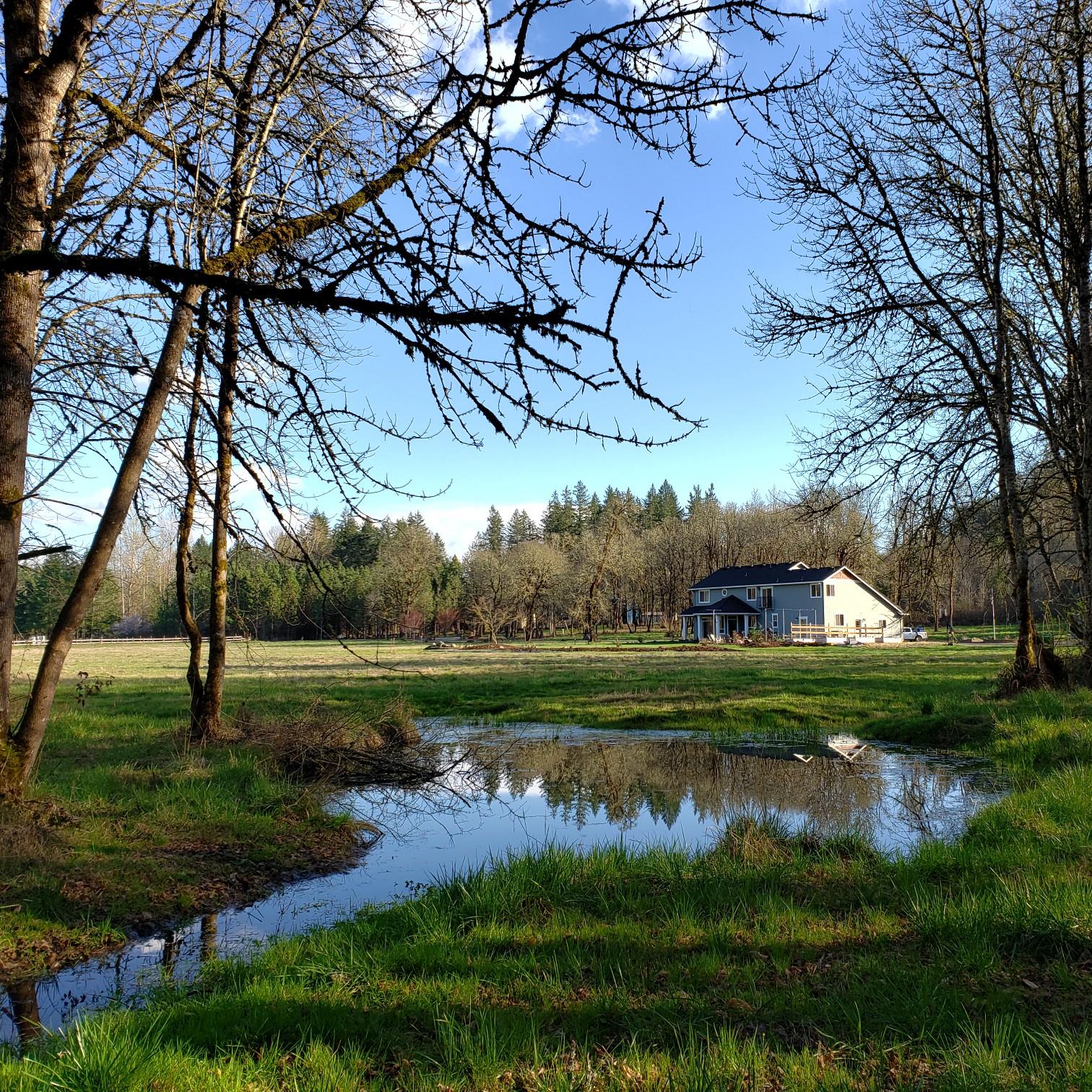 Our lovely home and property.