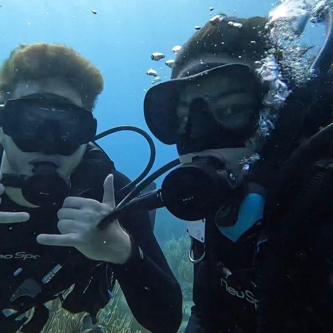 Scuba diving in the BVI!