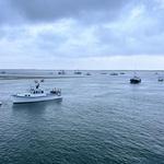Chatham Fish Pier Viewing Deck