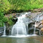 Cupid Falls