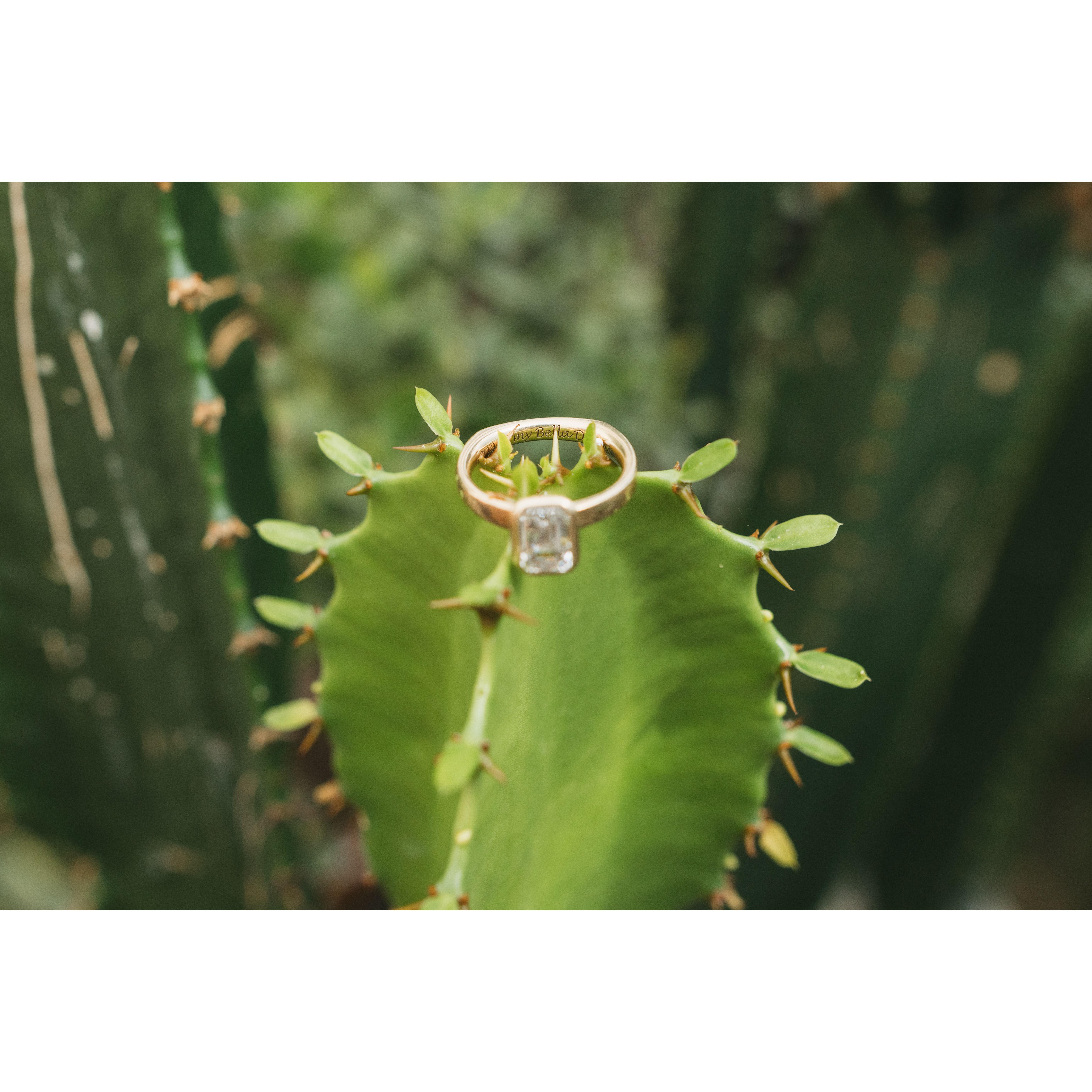 The Engagement band was designed by Aaron and includes a special engraving "Forever my Bella Donna". Bella Donna meaning Beautiful Woman and comes from a shared favorite song by the Avett Brothers.