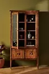 Amber Lewis for Anthropologie Curio Cabinet