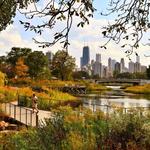 Lincoln Park Zoo (Free) 🐯