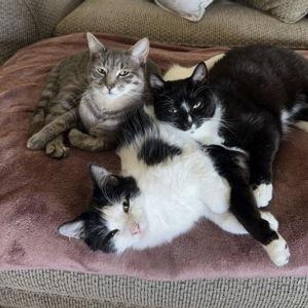 Leroy, Otis & Cobb