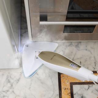 Professional Series LED Steam Mop