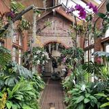 Kingwood Center Gardens