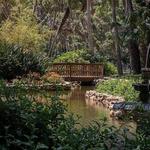 Florida Botanical Gardens