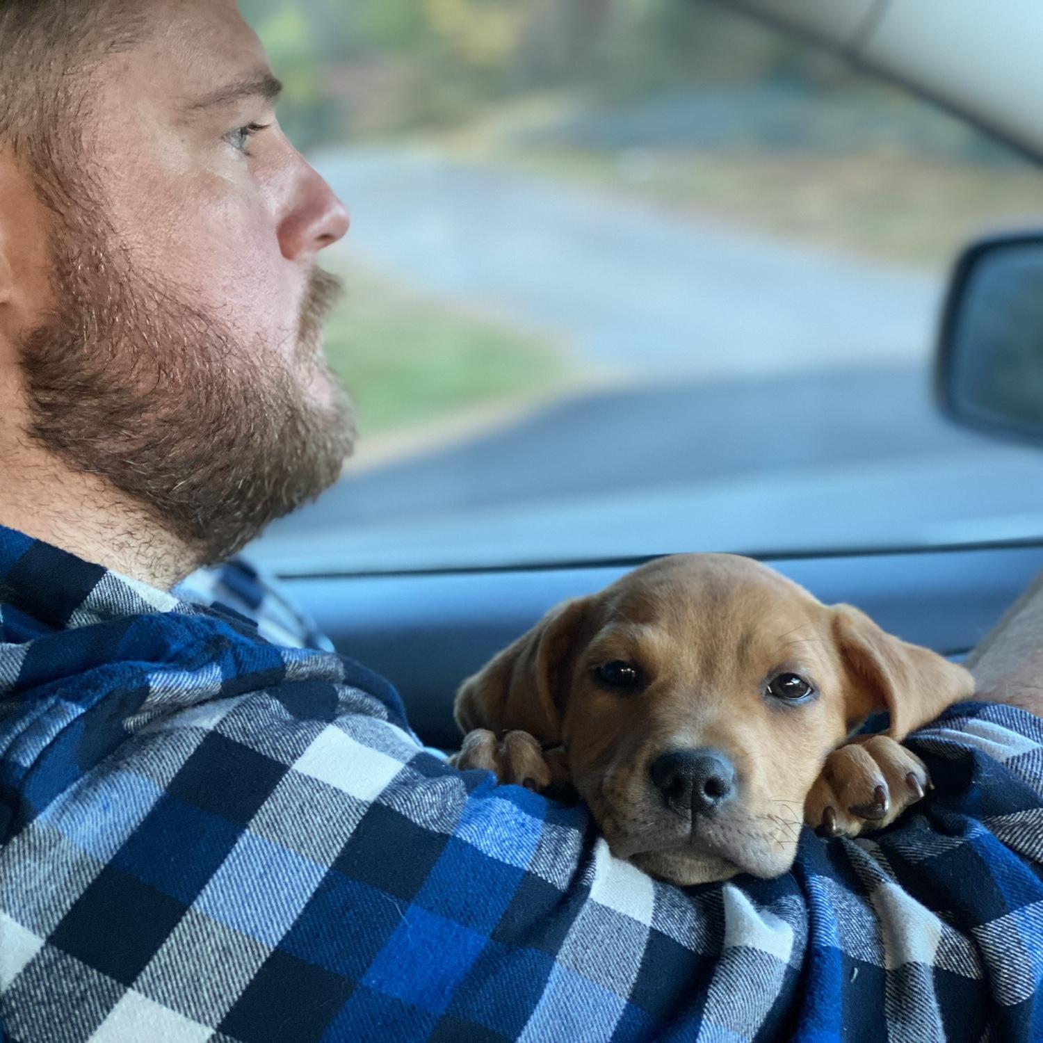 Rob and Jersey on the way to Thanksgiving dinner with the Wolgies