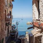 Scilla