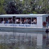 Swamp Boat Tours