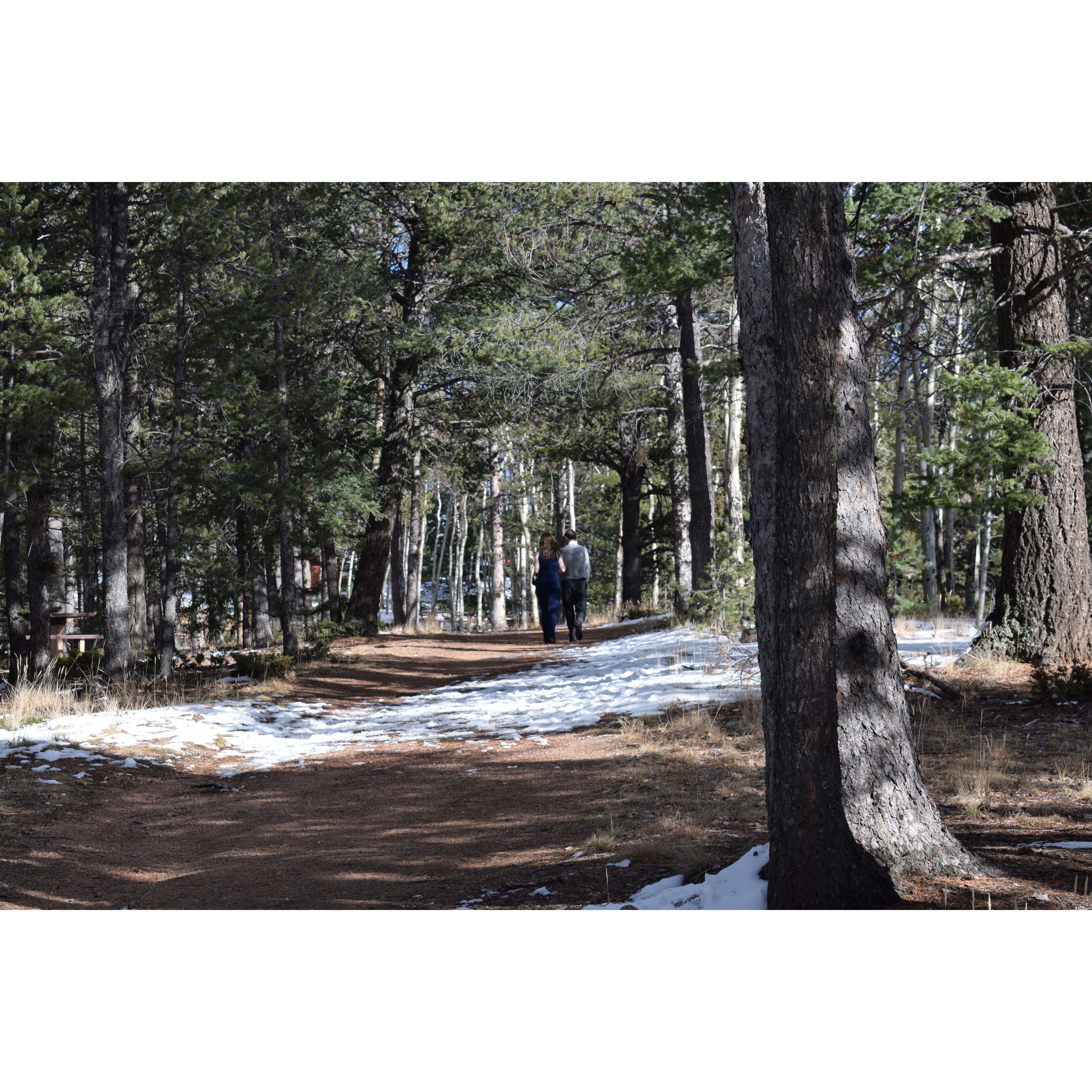 Walking back after deciding we'll get married