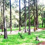 Things To Do in Enugu State