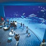North Carolina Aquarium at Fort Fisher
