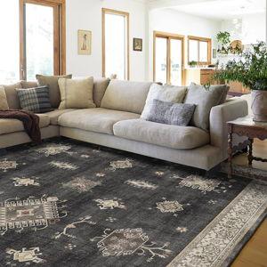 Living Room Rug Fund
