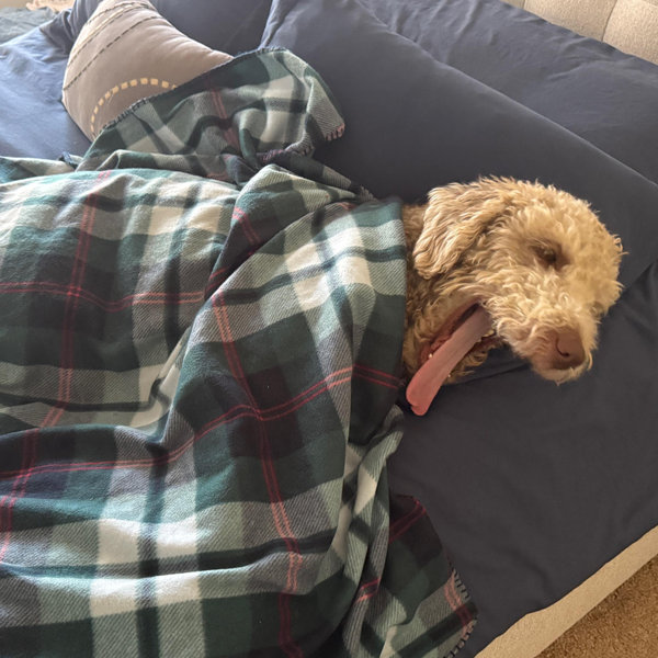 Mosby's Staycation for Our Honeymoon