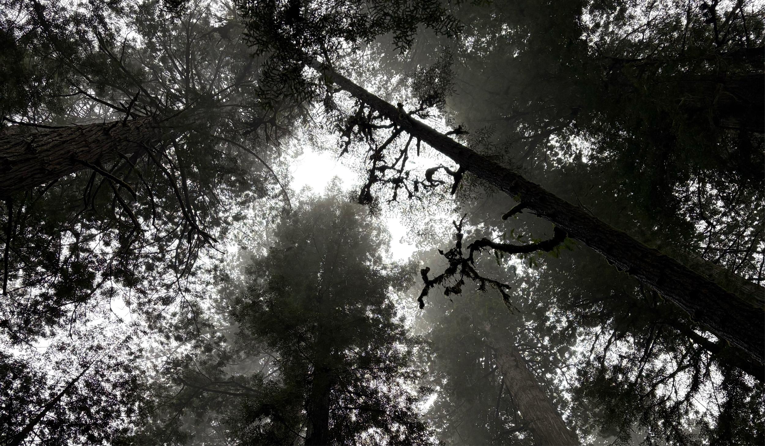 The Wedding Website of Joseph Erwin and Gina Helvie