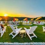 Aquila's Nest Vineyards