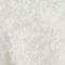 Parchment